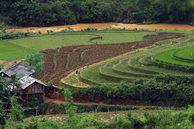 Chiêm[-]ngưỡng[-]vẻ[-]đẹp[-]Mù[-]Cang[-]Chải[-]mùa[-]nước[-]đổ